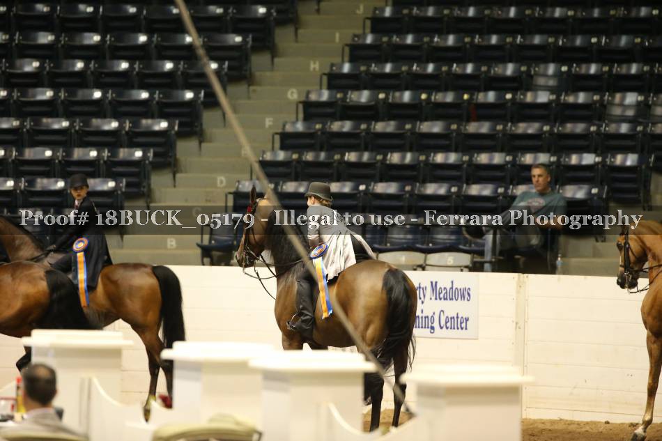 Proof 18BUCK_05179