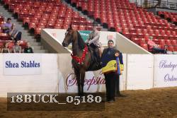 18BUCK_05180 proof