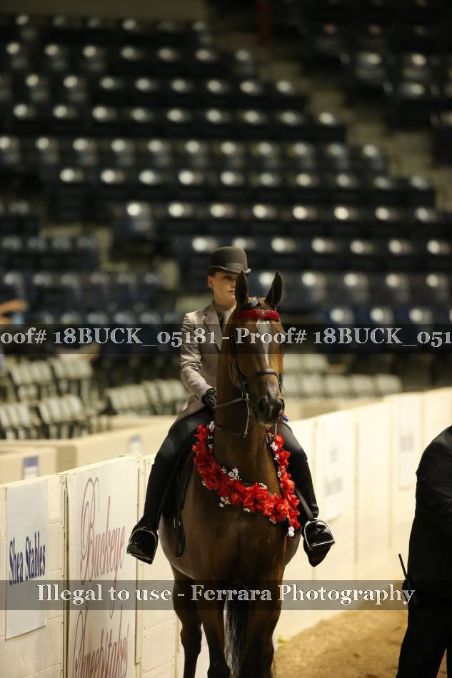 Proof 18BUCK_05181
