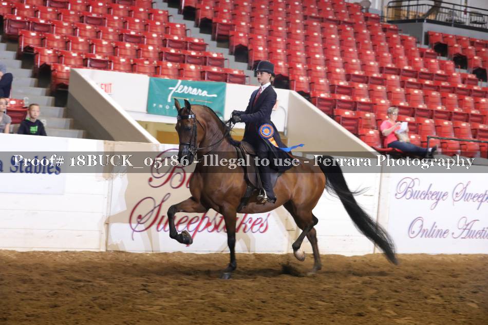 Proof 18BUCK_05186