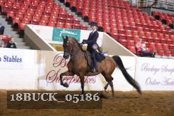 18BUCK_05186 proof