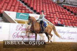 18BUCK_05190 proof