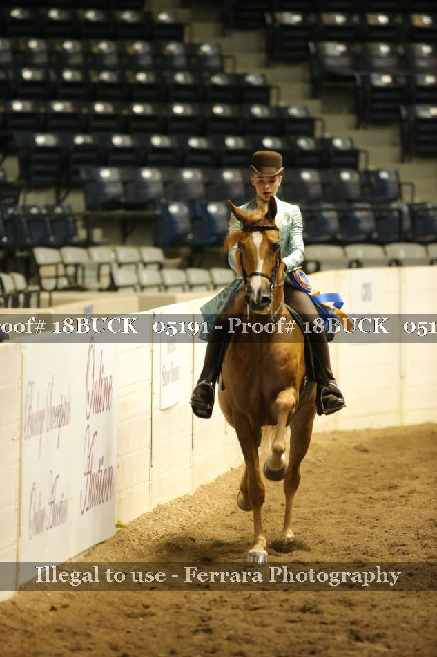 Proof 18BUCK_05191