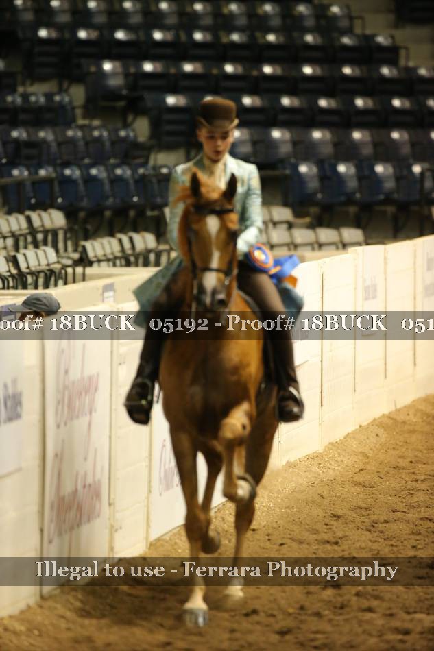 Proof 18BUCK_05192
