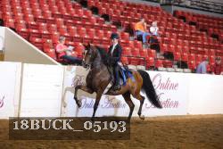 18BUCK_05193 proof
