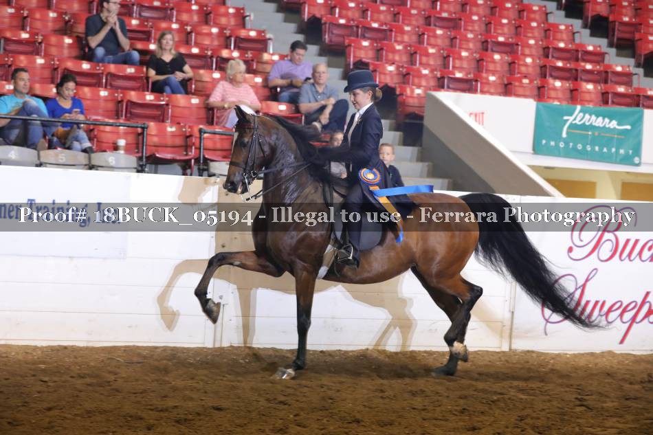 Proof 18BUCK_05194