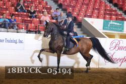 18BUCK_05194 proof