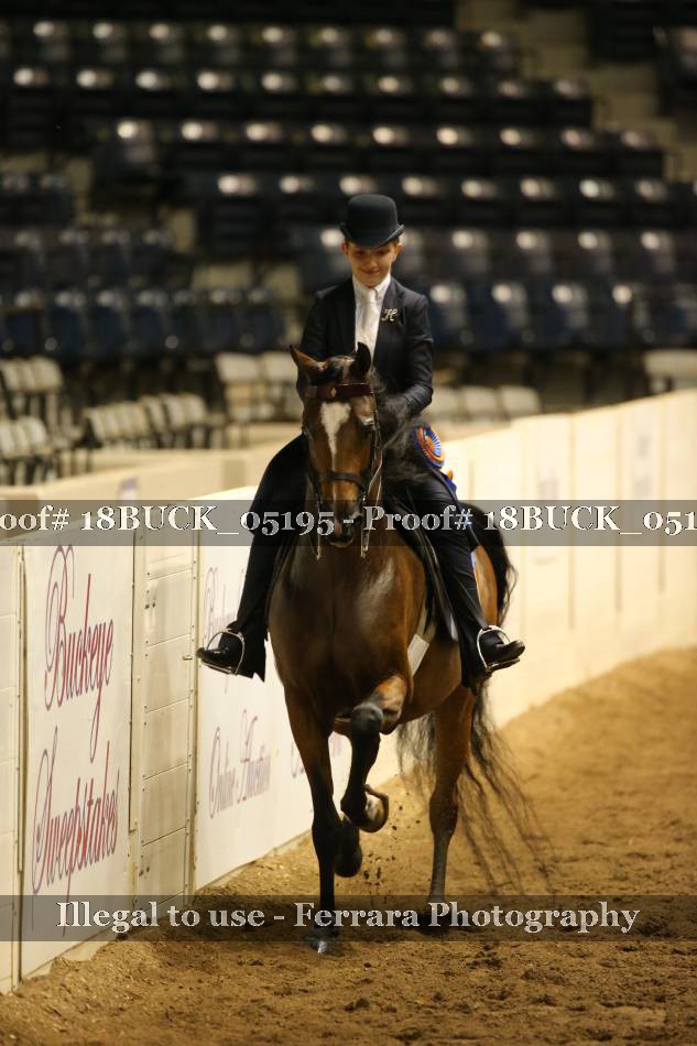 Proof 18BUCK_05195
