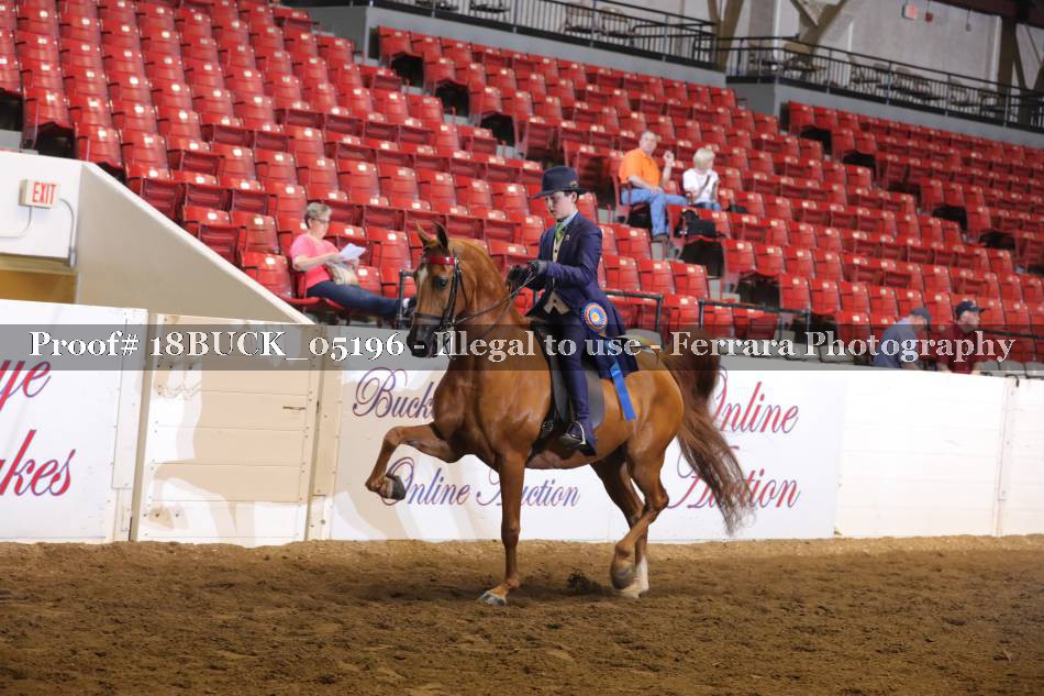 Proof 18BUCK_05196