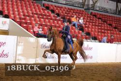 18BUCK_05196 proof