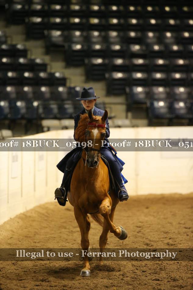 Proof 18BUCK_05198