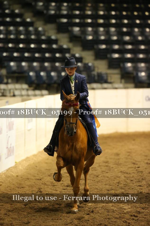 Proof 18BUCK_05199