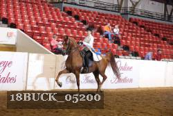 18BUCK_05200 proof
