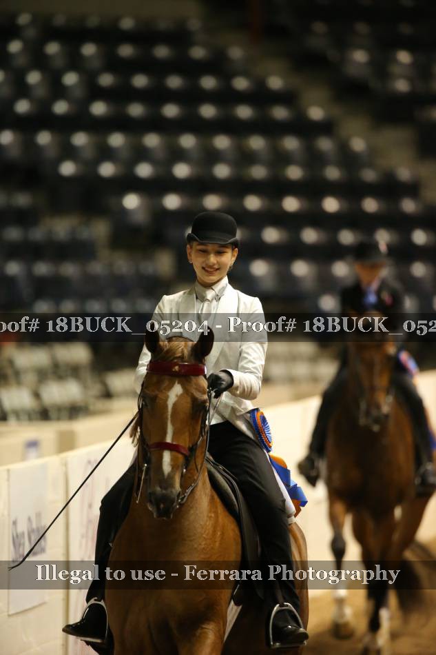 Proof 18BUCK_05204