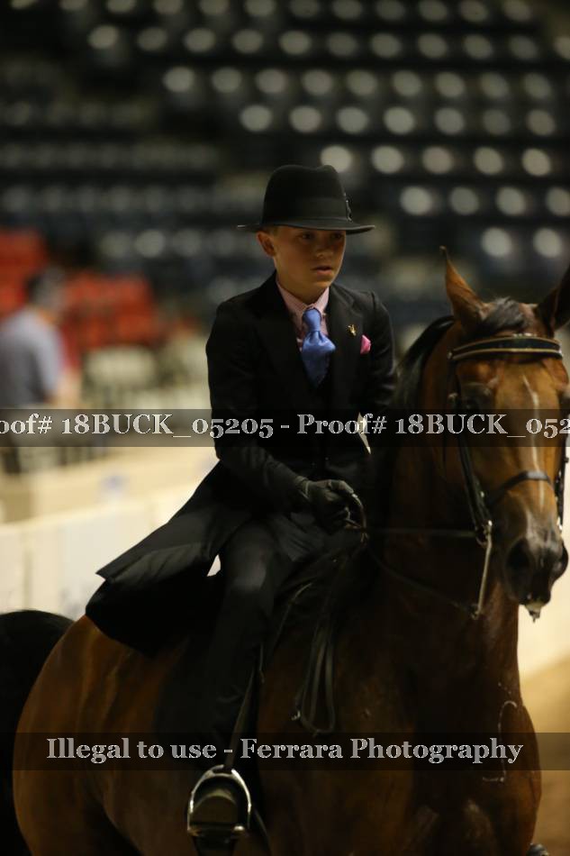 Proof 18BUCK_05205