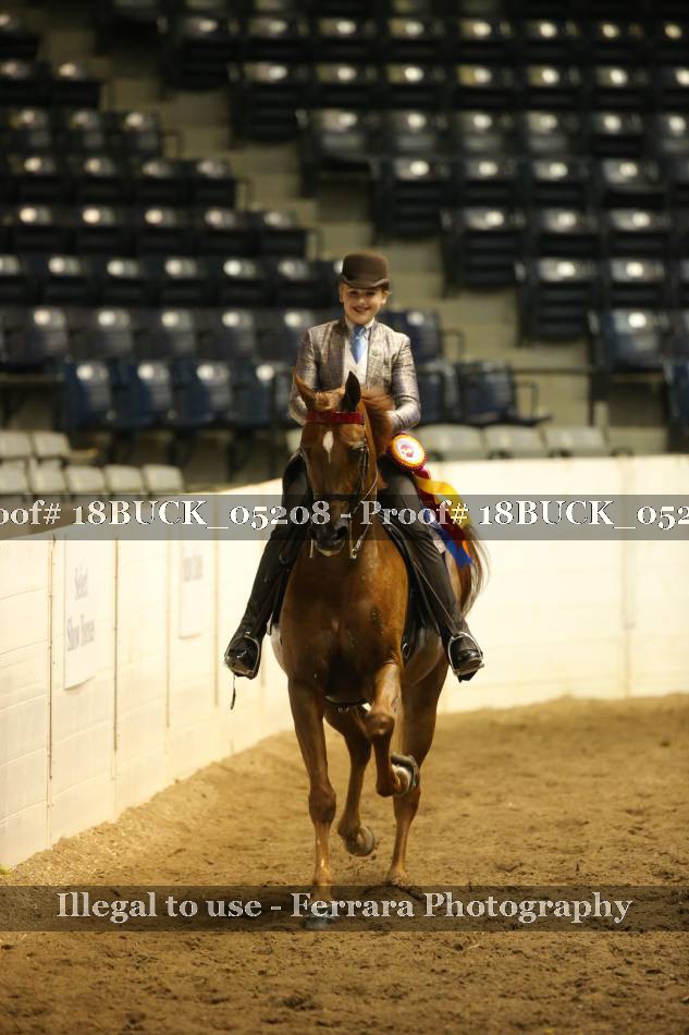 Proof 18BUCK_05208