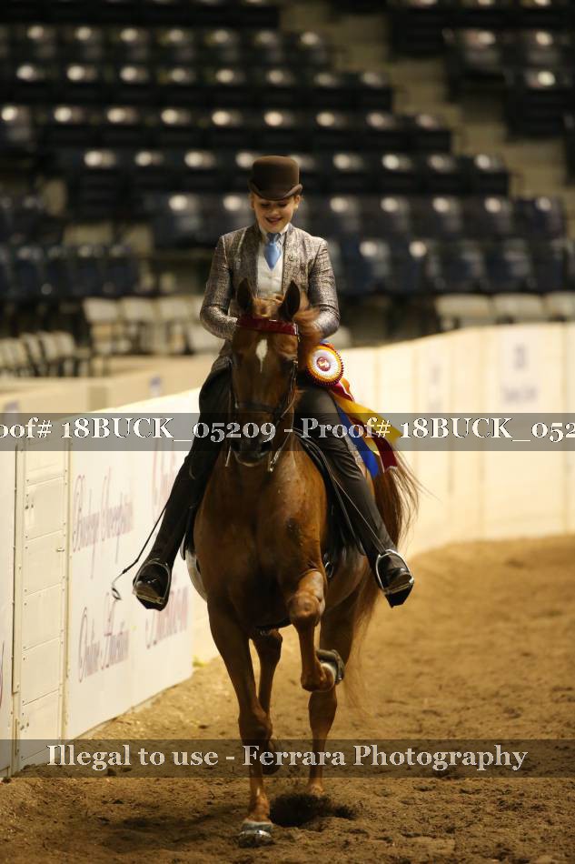 Proof 18BUCK_05209