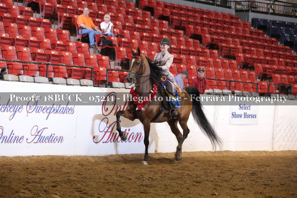 Proof 18BUCK_05211