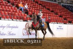 18BUCK_05211 proof