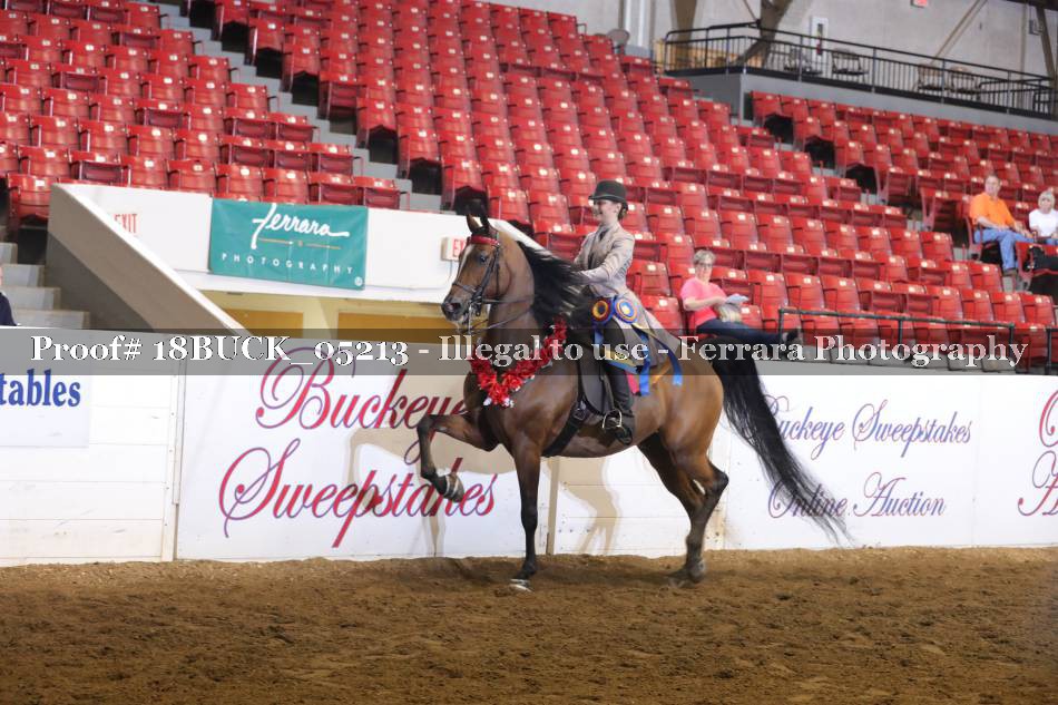 Proof 18BUCK_05213