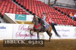 18BUCK_05213 proof