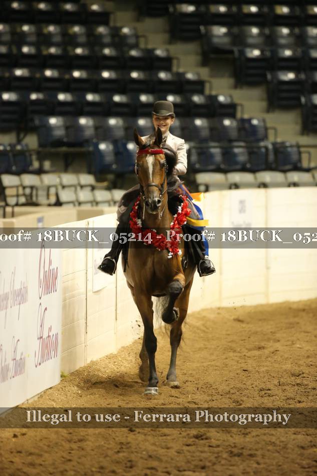 Proof 18BUCK_05214