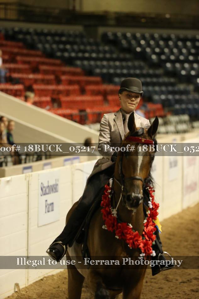 Proof 18BUCK_05217