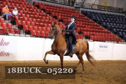 18BUCK_05220 proof