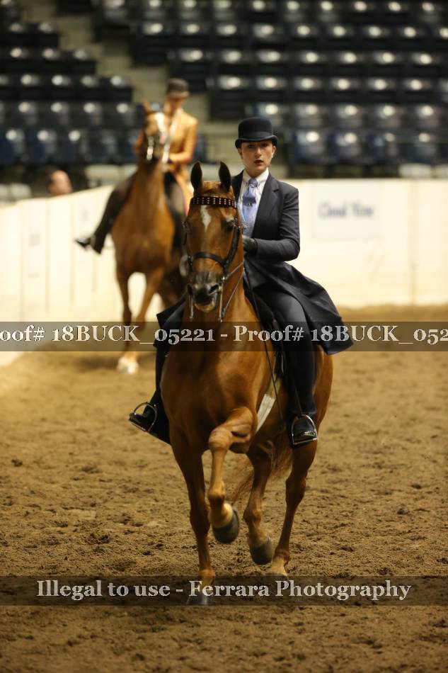 Proof 18BUCK_05221