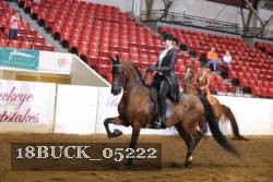 18BUCK_05222 proof