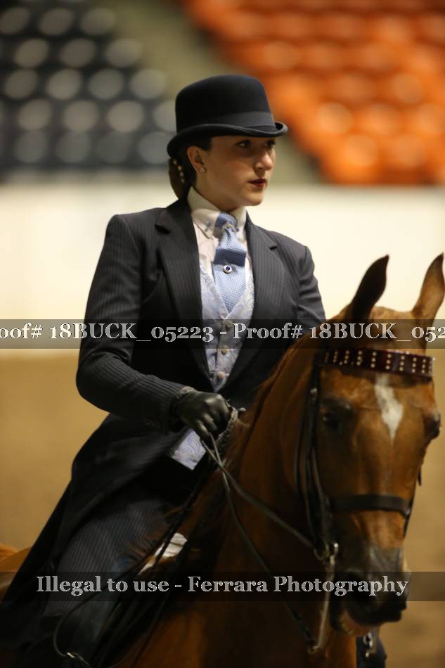 Proof 18BUCK_05223