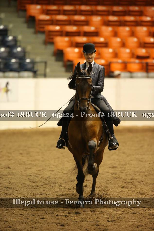 Proof 18BUCK_05224