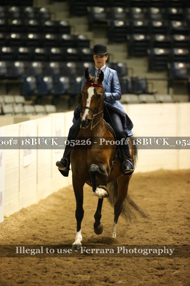 Proof 18BUCK_05226