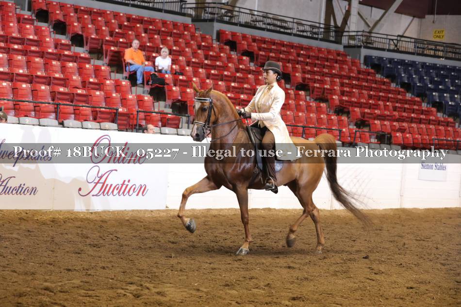 Proof 18BUCK_05227