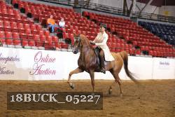 18BUCK_05227 proof