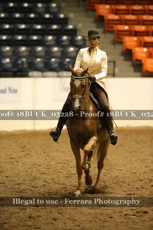 Proof 18BUCK_05228