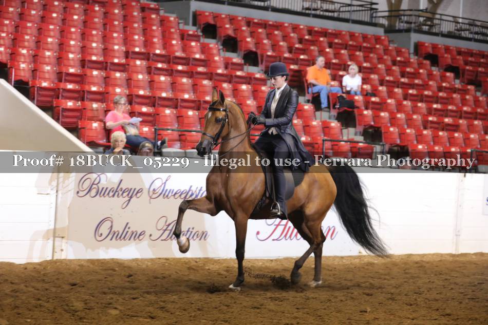 Proof 18BUCK_05229