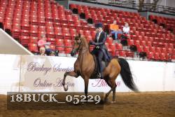 18BUCK_05229 proof