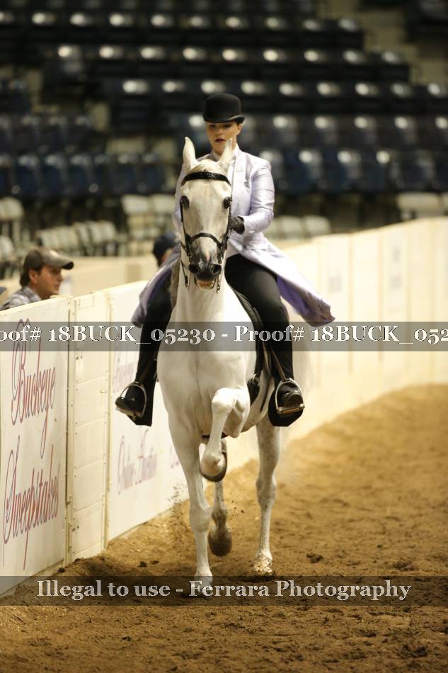 Proof 18BUCK_05230