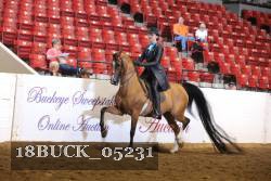 18BUCK_05231 proof