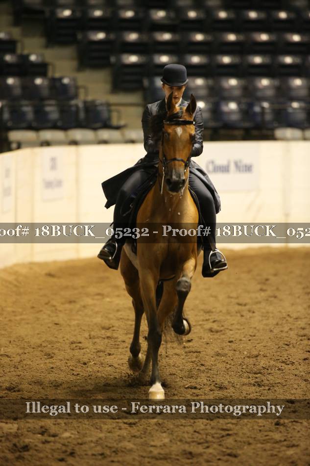 Proof 18BUCK_05232
