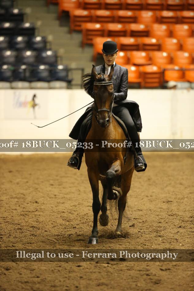 Proof 18BUCK_05233