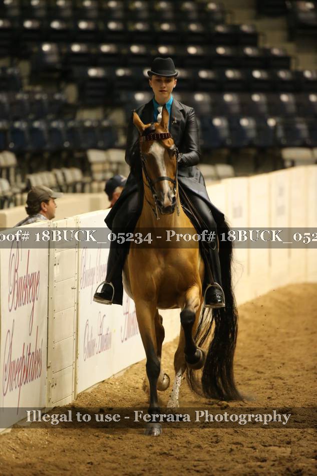 Proof 18BUCK_05234