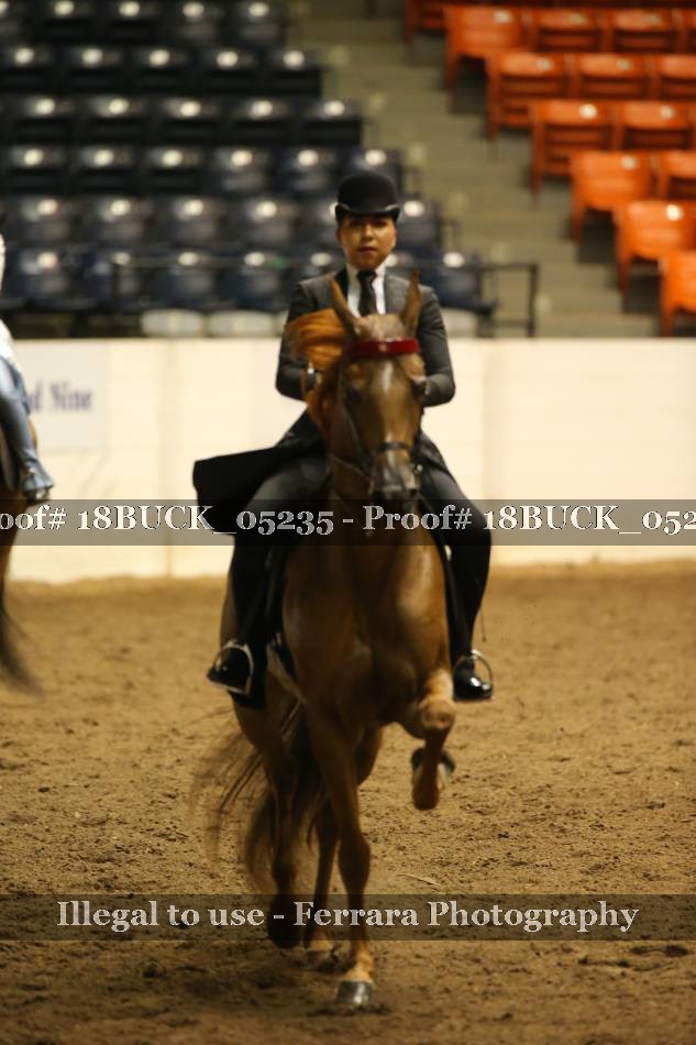 Proof 18BUCK_05235