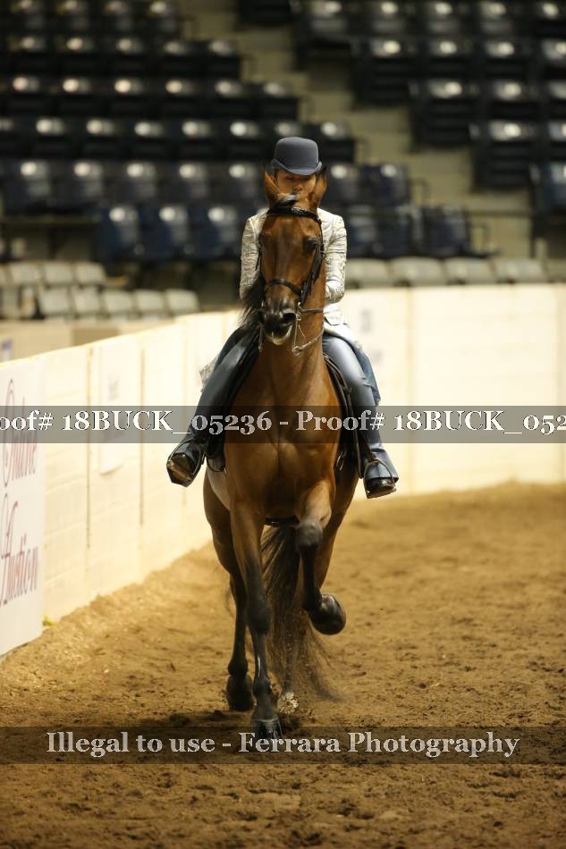Proof 18BUCK_05236