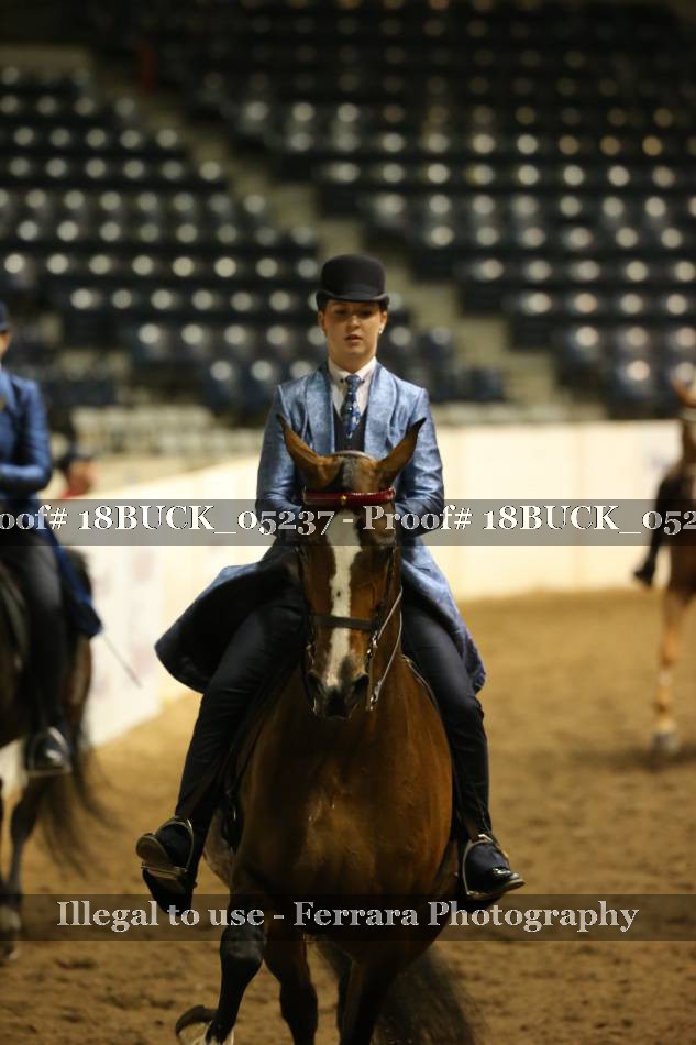 Proof 18BUCK_05237
