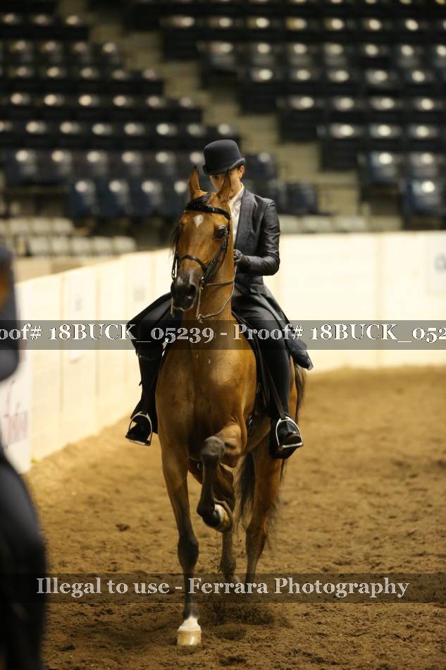 Proof 18BUCK_05239