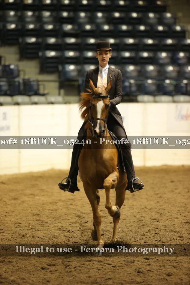 Proof 18BUCK_05240