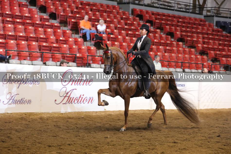 Proof 18BUCK_05241