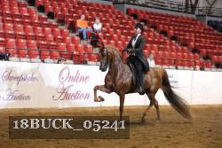 18BUCK_05241 proof